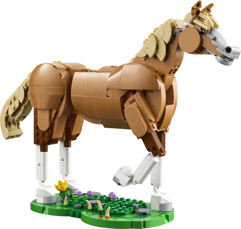 Beautiful Horse