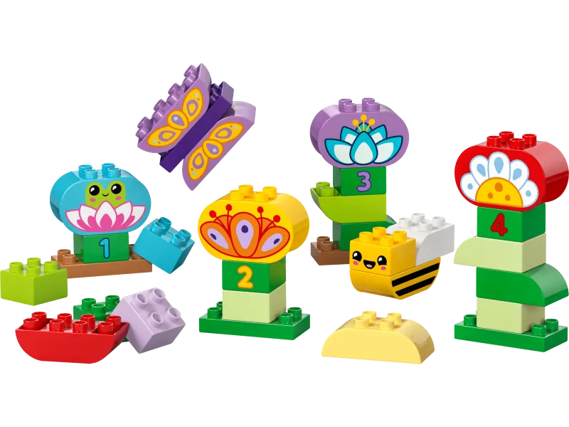 Creative Garden & Flowers