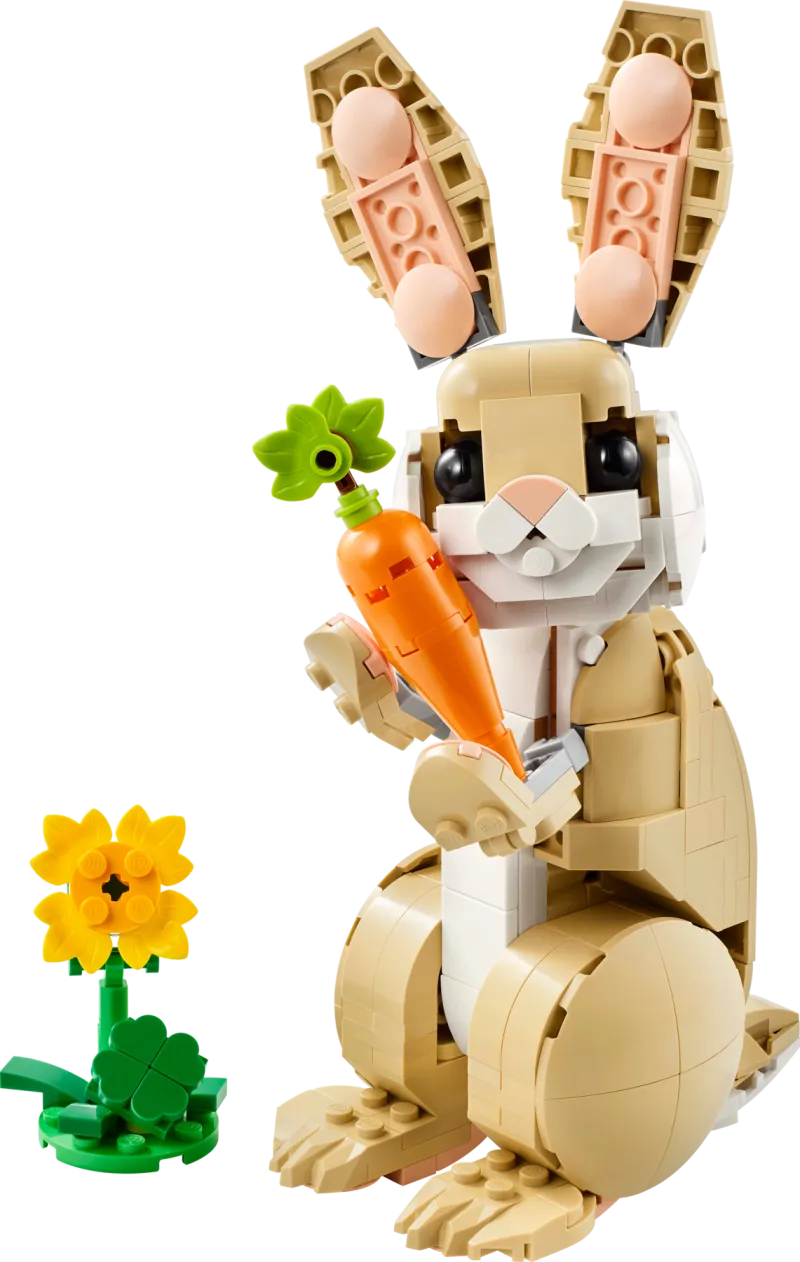 Cute Bunny