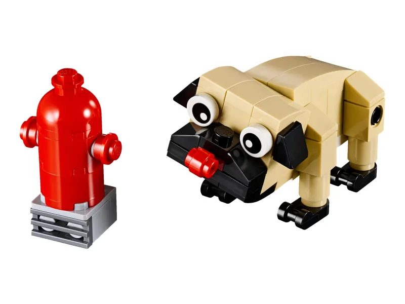 Cute Pug