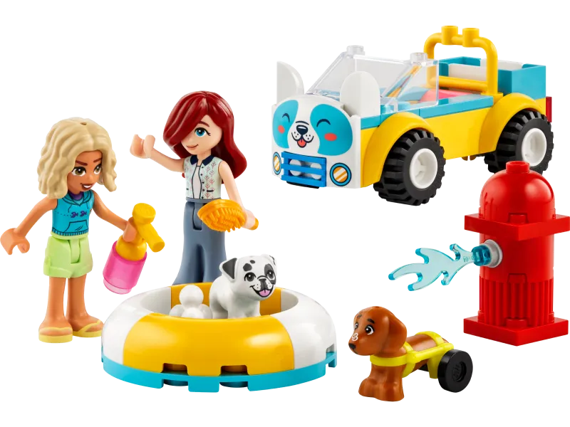 Dog-Grooming Car
