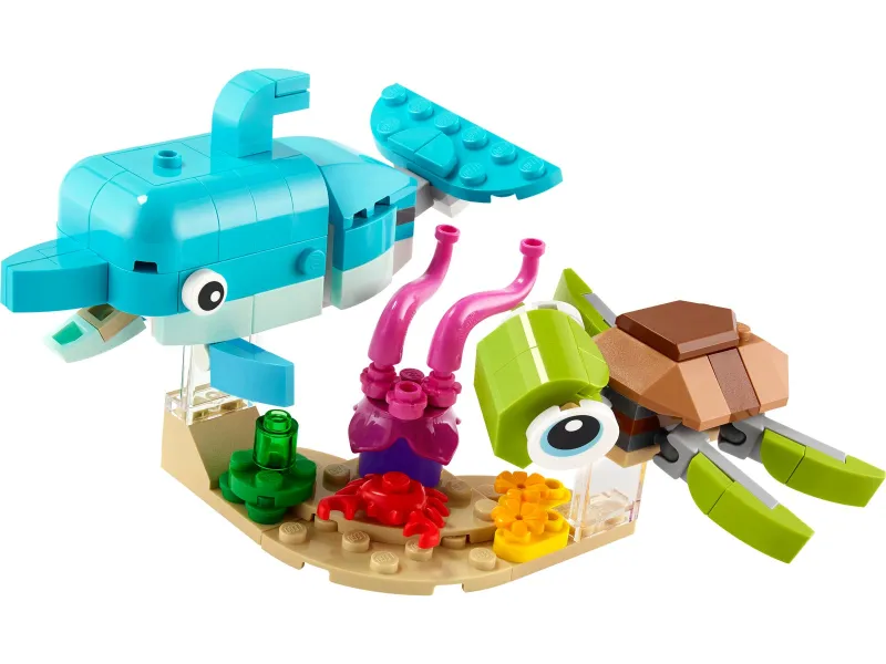 Dolphin and Turtle