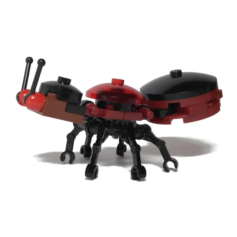 Fire Ant