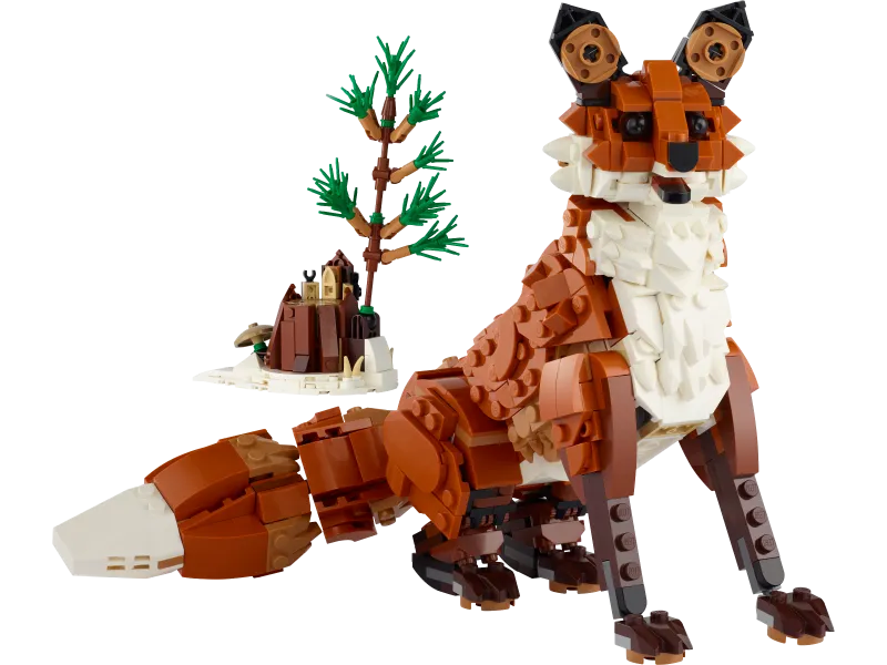 Forest Animals: Red Fox