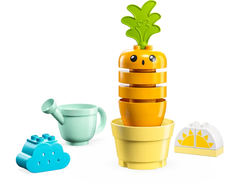Growing Carrot