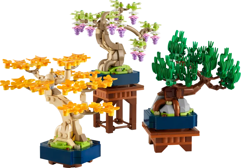 Mini Bonsai Trees