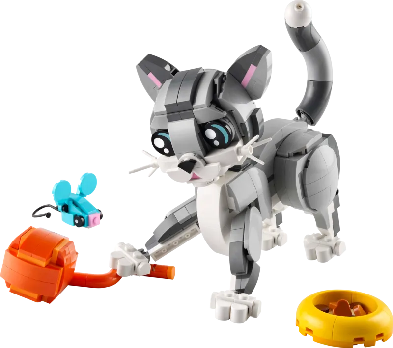 Playful Cat
