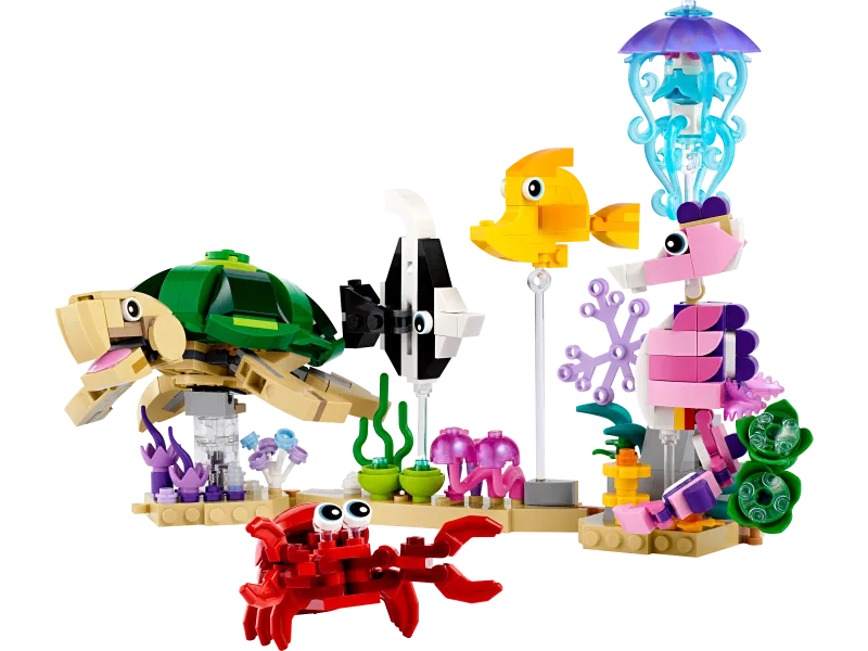 Sea Animals